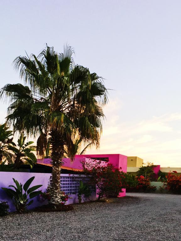 The Hotelito Todos Santos Εξωτερικό φωτογραφία